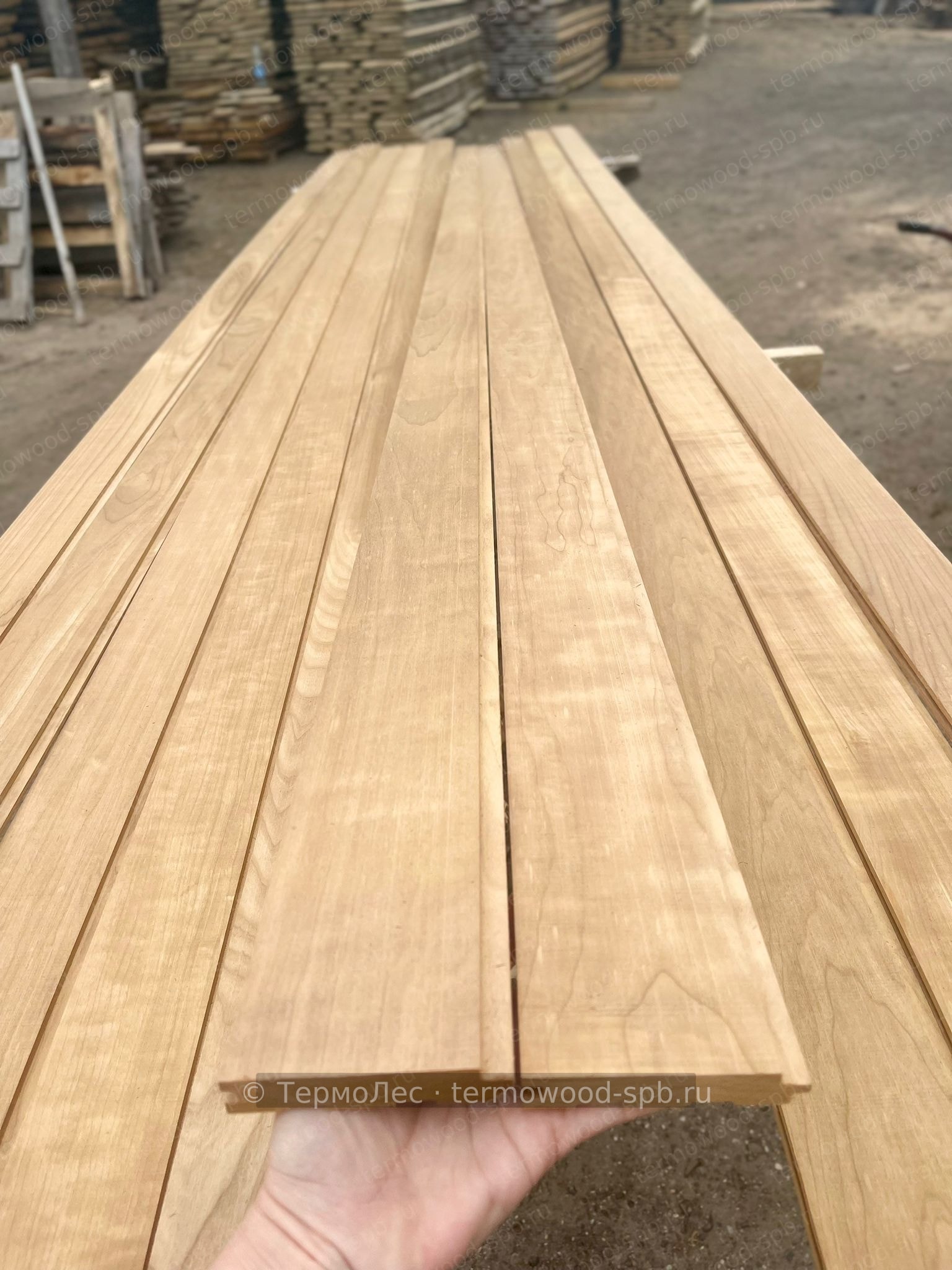 Вагонка STS из термоосины/ольхи, 90 мм