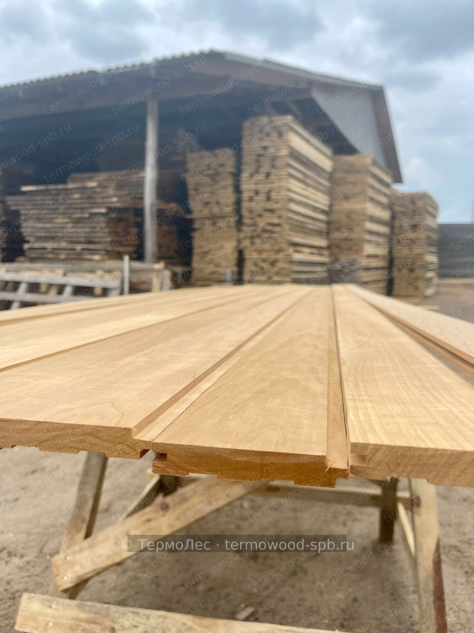 Вагонка STS из термоосины/ольхи, 90 мм